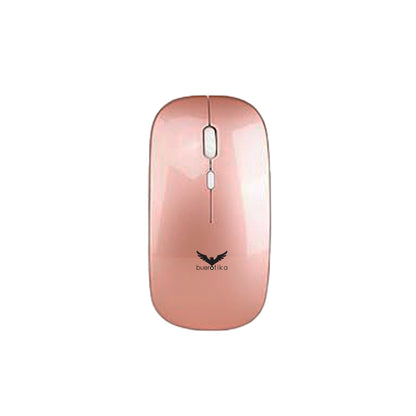 BLUETOOTH & WIRELESS MOUSE BM101W